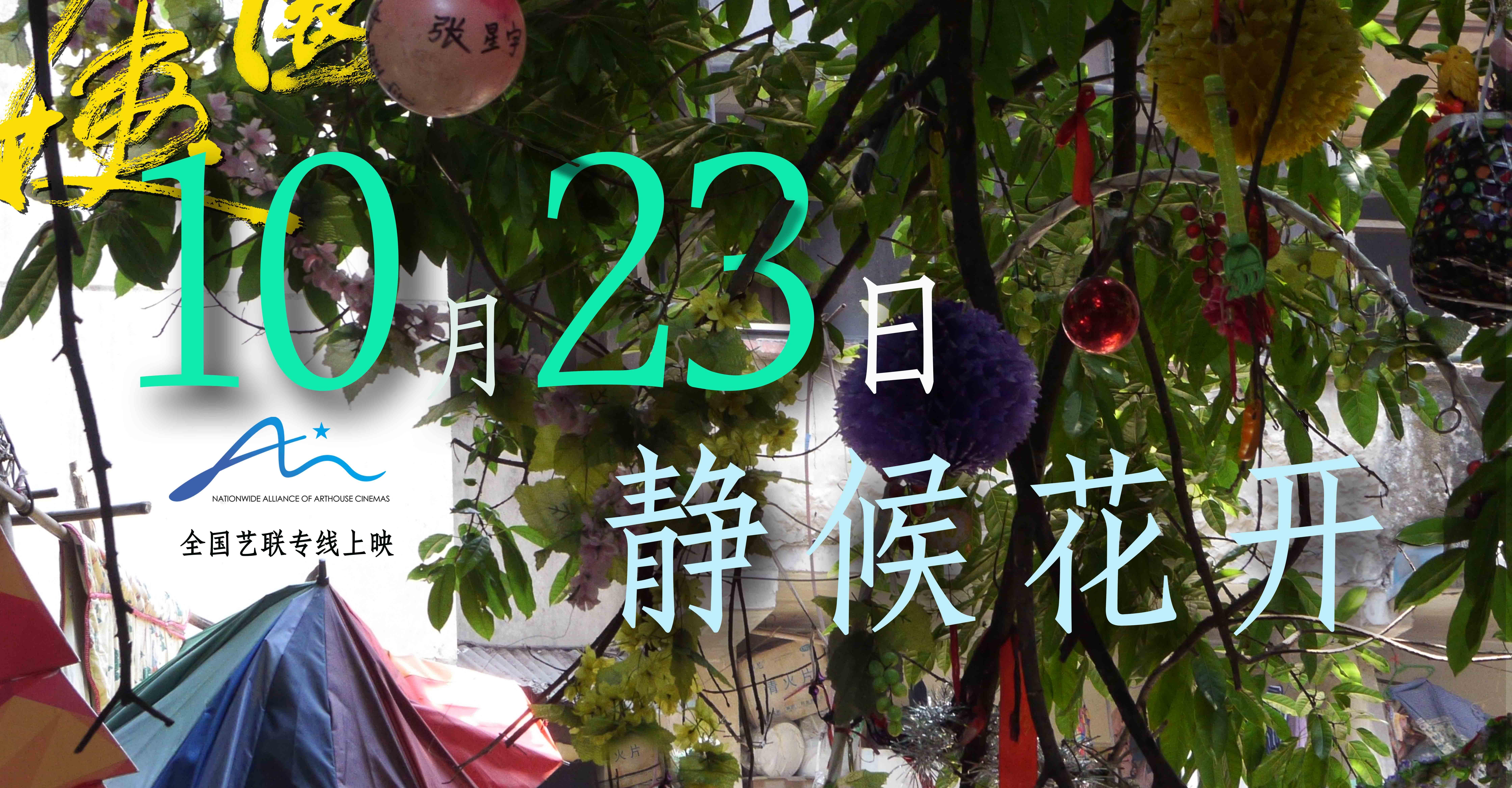 金爵奖最佳纪录片《胡阿姨的花园》，10月23日全国艺联专线上映